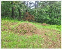  2025Ÿ��485 ��� �����ֽ� ������ �Լ��� 159-43      ���ð��