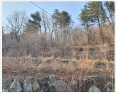  2025Ÿ��911 ��� ���� ������ �뺸�� 101      ����(��1)���