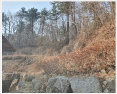  2025Ÿ��911 ��� ���� ������ �뺸�� 101      ����(��1)���