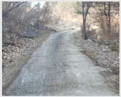  2025Ÿ��911 ��� ���� ������ �뺸�� 101      ����(��1)���