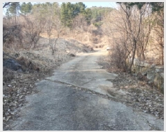  2025Ÿ��911 ��� ���� ������ �뺸�� 101      ����(��1)���