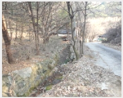  2025Ÿ��911 ��� ���� ������ �뺸�� 101      ����(��1)���