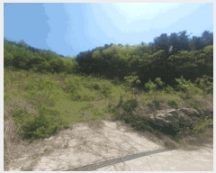  2025Ÿ��1587 ��� ���� û��� ��õ�� 405-1      ����(��1)���