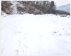  2025Ÿ��70224  �Ӿ߰��