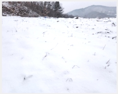  2025Ÿ��70224  �Ӿ߰��