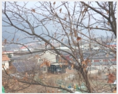  2025Ÿ��70408 ��� �����ֽ� ������ ��õ2�� 12-7      ���ð��