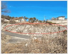  2025Ÿ71005     184-7      ()