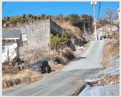  2025Ÿ71005     184-7      ()