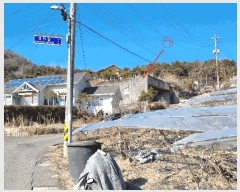  2025Ÿ71005     184-7      ()