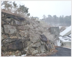  2025Ÿ71005     184-7      ()