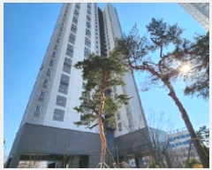  2025Ÿ��71262  ���ǽ��ڰ��