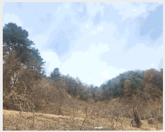  2025Ÿ��71424  �Ӿ߰��