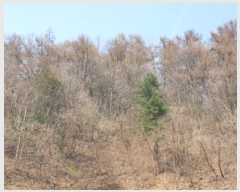  2025Ÿ��71424  �Ӿ߰��