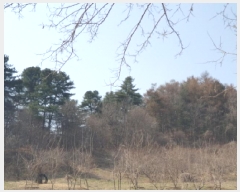  2025Ÿ��71424  �Ӿ߰��