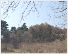  2025Ÿ��71424  �Ӿ߰��