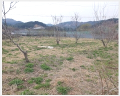  2025Ÿ��71464 ��� ���� ��� ������ 248-2      ����(��1)���