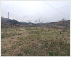  2025Ÿ��71464 ��� ���� ��� ������ 248-2      ����(��1)���