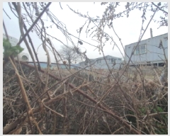  2025Ÿ��71464 ��� ���� ��� ������ 248-2      ����(��1)���