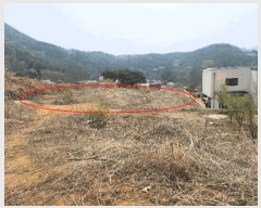  2025Ÿ��71482 ��� ���� ���Ǹ� ��渮 176-1      ����(��1)���