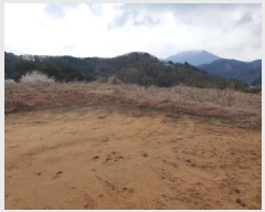  2025Ÿ��71482 ��� ���� ���Ǹ� ��渮 176-1      ����(��1)���