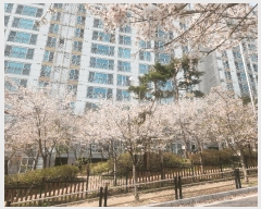  2025Ÿ��71505 ��� �����ֽ� ȭ���� ������ 626 �������ŵ��귡��3������Ʈ 303�� 4�� 401ȣ  ����Ʈ���