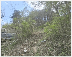  2025Ÿ��71550  �Ӿ߰��