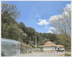  2025Ÿ��71550  �Ӿ߰��