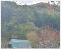  2025Ÿ��71550  �Ӿ߰��