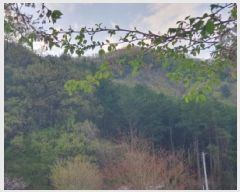  2025Ÿ��71550  �Ӿ߰��