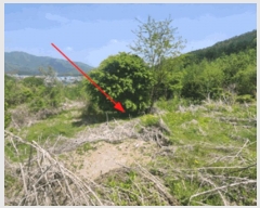  2025Ÿ��71583 ��� �����ֽ� ȭ���� ��� 15-59      ����(����)���