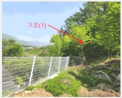  2025Ÿ��71583 ��� �����ֽ� ȭ���� ��� 15-59      ����(����)���