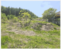  2025Ÿ��71583 ��� �����ֽ� ȭ���� ��� 15-59      ����(����)���