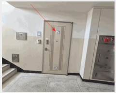  2025Ÿ��71595  ����Ʈ���