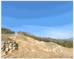  2025Ÿ��71617  �Ӿ߰��