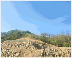  2025Ÿ��71617  �Ӿ߰��