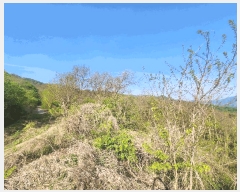  2025Ÿ��71617  �Ӿ߰��