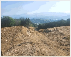  2025Ÿ��71617  �Ӿ߰��