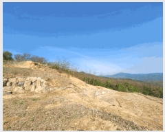  2025Ÿ��71617  �Ӿ߰��