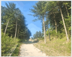  2025Ÿ��71617  �Ӿ߰��