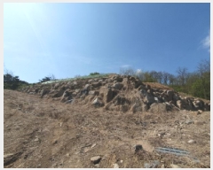  2025Ÿ��71617  �Ӿ߰��