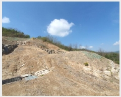  2025Ÿ��71617  �Ӿ߰��