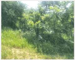  2025Ÿ��71762 ��� �����ֽ� ������ ��ϸ� 146      ����(��1)���