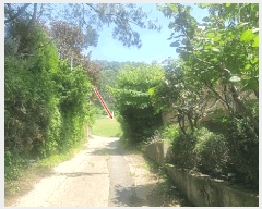  2025Ÿ��71762 ��� �����ֽ� ������ ��ϸ� 146      ����(��1)���