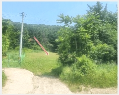  2025Ÿ��71762 ��� �����ֽ� ������ ��ϸ� 146      ����(��1)���
