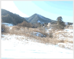  2025Ÿ��324 ��� ���� �ϸ� �񵿸� 686-1      ����(����)���