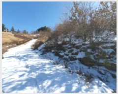  2025Ÿ��324 ��� ���� �ϸ� �񵿸� 686-1      ����(����)���