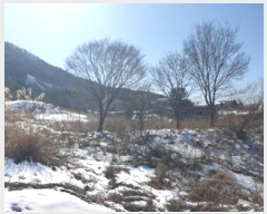  2025Ÿ��324 ��� ���� �ϸ� �񵿸� 686-1      ����(����)���