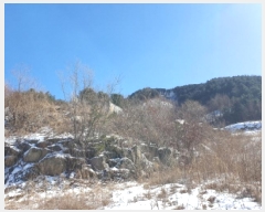  2025Ÿ��324 ��� ���� �ϸ� �񵿸� 686-1      ����(����)���