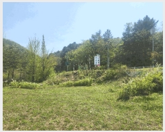  2025Ÿ��1532  �������