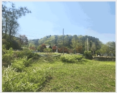  2025Ÿ��1532  �������